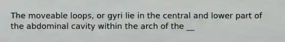 The moveable loops, or gyri lie in the central and lower part of the abdominal cavity within the arch of the __