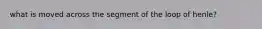 what is moved across the segment of the loop of henle?