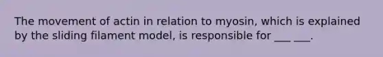 The movement of actin in relation to myosin, which is explained by the sliding filament model, is responsible for ___ ___.