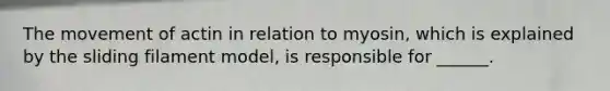 The movement of actin in relation to myosin, which is explained by the sliding filament model, is responsible for ______.