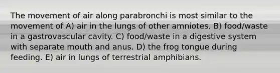 The movement of air along parabronchi is most similar to the movement of A) air in the lungs of other amniotes. B) food/waste in a gastrovascular cavity. C) food/waste in a digestive system with separate mouth and anus. D) the frog tongue during feeding. E) air in lungs of terrestrial amphibians.