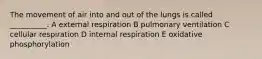 The movement of air into and out of the lungs is called __________. A external respiration B pulmonary ventilation C cellular respiration D internal respiration E oxidative phosphorylation