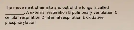 The movement of air into and out of the lungs is called __________. A external respiration B pulmonary ventilation C cellular respiration D internal respiration E oxidative phosphorylation