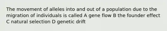 The movement of alleles into and out of a population due to the migration of individuals is called A gene flow B the founder effect C natural selection D genetic drift