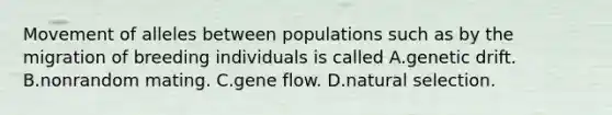 Movement of alleles between populations such as by the migration of breeding individuals is called A.genetic drift. B.nonrandom mating. C.gene flow. D.natural selection.