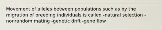 Movement of alleles between populations such as by the migration of breeding individuals is called -natural selection -nonrandom mating -genetic drift -gene flow