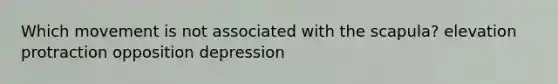 Which movement is not associated with the scapula? elevation protraction opposition depression