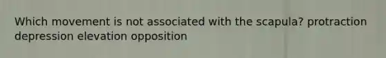 Which movement is not associated with the scapula? protraction depression elevation opposition