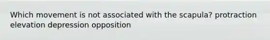 Which movement is not associated with the scapula? protraction elevation depression opposition