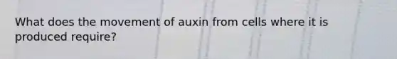 What does the movement of auxin from cells where it is produced require?