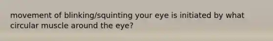 movement of blinking/squinting your eye is initiated by what circular muscle around the eye?