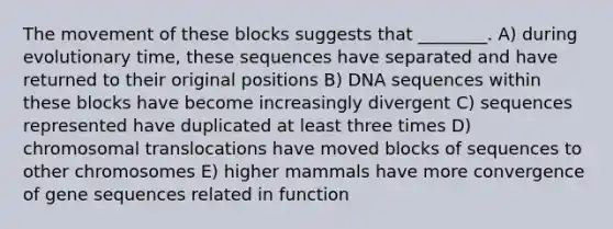 The movement of these blocks suggests that ________. A) during evolutionary time, these sequences have separated and have returned to their original positions B) DNA sequences within these blocks have become increasingly divergent C) sequences represented have duplicated at least three times D) chromosomal translocations have moved blocks of sequences to other chromosomes E) higher mammals have more convergence of gene sequences related in function