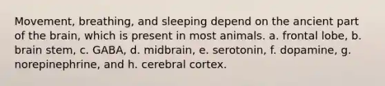 Movement, breathing, and sleeping depend on the ancient part of <a href='https://www.questionai.com/knowledge/kLMtJeqKp6-the-brain' class='anchor-knowledge'>the brain</a>, which is present in most animals. a. frontal lobe, b. brain stem, c. GABA, d. midbrain, e. serotonin, f. dopamine, g. norepinephrine, and h. cerebral cortex.