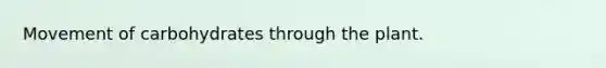 Movement of carbohydrates through the plant.