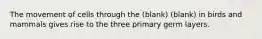 The movement of cells through the (blank) (blank) in birds and mammals gives rise to the three primary germ layers.