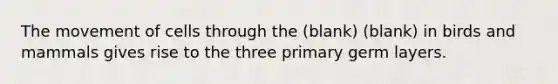 The movement of cells through the (blank) (blank) in birds and mammals gives rise to the three primary germ layers.