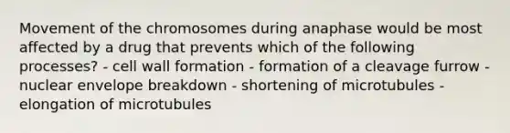 Movement of the chromosomes during anaphase would be most affected by a drug that prevents which of the following processes? - cell wall formation - formation of a cleavage furrow - nuclear envelope breakdown - shortening of microtubules - elongation of microtubules