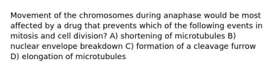 Movement of the chromosomes during anaphase would be most affected by a drug that prevents which of the following events in mitosis and cell division? A) shortening of microtubules B) nuclear envelope breakdown C) formation of a cleavage furrow D) elongation of microtubules