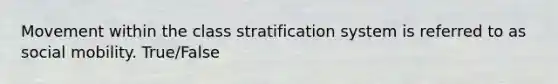 Movement within the class stratification system is referred to as social mobility. True/False
