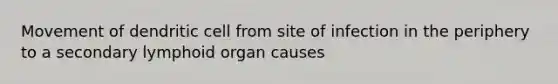Movement of dendritic cell from site of infection in the periphery to a secondary lymphoid organ causes