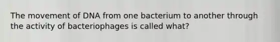 The movement of DNA from one bacterium to another through the activity of bacteriophages is called what?