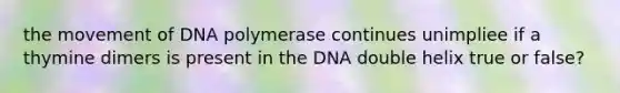 the movement of DNA polymerase continues unimpliee if a thymine dimers is present in the DNA double helix true or false?