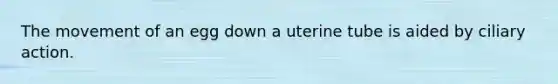 The movement of an egg down a uterine tube is aided by ciliary action.