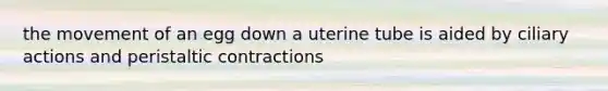 the movement of an egg down a uterine tube is aided by ciliary actions and peristaltic contractions