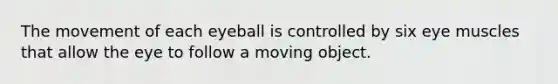 The movement of each eyeball is controlled by six eye muscles that allow the eye to follow a moving object.