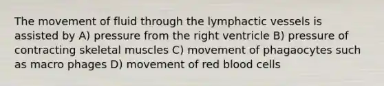 The movement of fluid through the lymphactic vessels is assisted by A) pressure from the right ventricle B) pressure of contracting skeletal muscles C) movement of phagaocytes such as macro phages D) movement of red blood cells