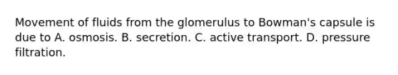 Movement of fluids from the glomerulus to Bowman's capsule is due to A. osmosis. B. secretion. C. active transport. D. pressure filtration.