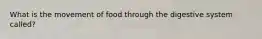 What is the movement of food through the digestive system called?