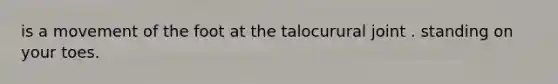 is a movement of the foot at the talocurural joint . standing on your toes.