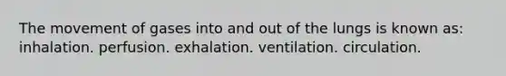 The movement of gases into and out of the lungs is known as: inhalation. perfusion. exhalation. ventilation. circulation.