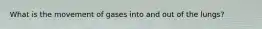 What is the movement of gases into and out of the lungs?