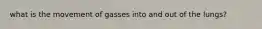 what is the movement of gasses into and out of the lungs?