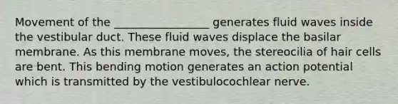 Movement of the _________________ generates fluid waves inside the vestibular duct. These fluid waves displace the basilar membrane. As this membrane moves, the stereocilia of hair cells are bent. This bending motion generates an action potential which is transmitted by the vestibulocochlear nerve.