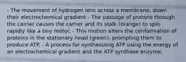 - The movement of hydrogen ions across a membrane, down their electrochemical gradient - The passage of protons through the carrier causes the carrier and its stalk (orange) to spin rapidly like a tiny motor. - This motion alters the conformation of proteins in the stationary head (green), prompting them to produce ATP. - A process for synthesizing ATP using the energy of an electrochemical gradient and the ATP synthase enzyme.