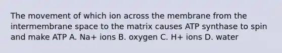 The movement of which ion across the membrane from the intermembrane space to the matrix causes ATP synthase to spin and make ATP A. Na+ ions B. oxygen C. H+ ions D. water