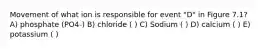 Movement of what ion is responsible for event "D" in Figure 7.1? A) phosphate (PO4-) B) chloride ( ) C) Sodium ( ) D) calcium ( ) E) potassium ( )