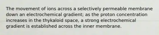 The movement of ions across a selectively permeable membrane down an electrochemical gradient; as the proton concentration increases in the thykaloid space, a strong electrochemical gradient is established across the inner membrane.