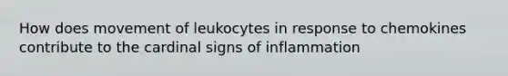 How does movement of leukocytes in response to chemokines contribute to the cardinal signs of inflammation