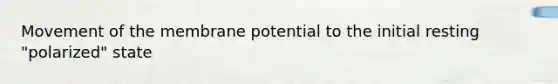 Movement of the membrane potential to the initial resting "polarized" state