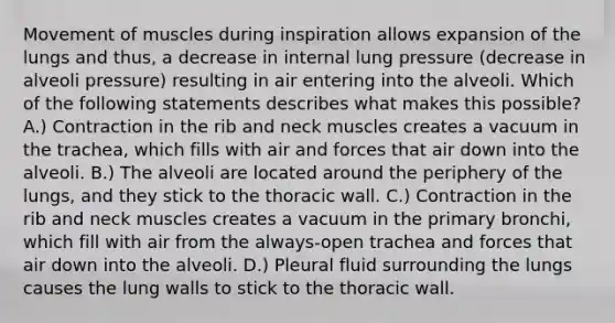 Movement of muscles during inspiration allows expansion of the lungs and thus, a decrease in internal lung pressure (decrease in alveoli pressure) resulting in air entering into the alveoli. Which of the following statements describes what makes this possible? A.) Contraction in the rib and neck muscles creates a vacuum in the trachea, which fills with air and forces that air down into the alveoli. B.) The alveoli are located around the periphery of the lungs, and they stick to the thoracic wall. C.) Contraction in the rib and neck muscles creates a vacuum in the primary bronchi, which fill with air from the always-open trachea and forces that air down into the alveoli. D.) Pleural fluid surrounding the lungs causes the lung walls to stick to the thoracic wall.