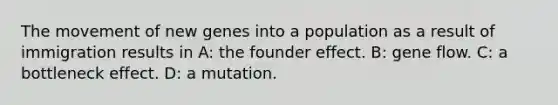 The movement of new genes into a population as a result of immigration results in A: the founder effect. B: gene flow. C: a bottleneck effect. D: a mutation.