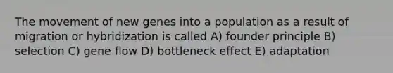 The movement of new genes into a population as a result of migration or hybridization is called A) founder principle B) selection C) gene flow D) bottleneck effect E) adaptation