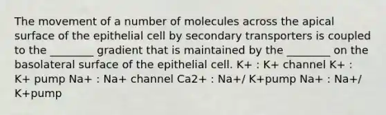 The movement of a number of molecules across the apical surface of the epithelial cell by secondary transporters is coupled to the ________ gradient that is maintained by the ________ on the basolateral surface of the epithelial cell. K+ : K+ channel K+ : K+ pump Na+ : Na+ channel Ca2+ : Na+/ K+pump Na+ : Na+/ K+pump