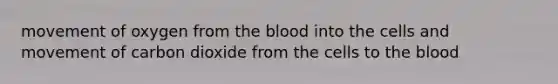 movement of oxygen from the blood into the cells and movement of carbon dioxide from the cells to the blood