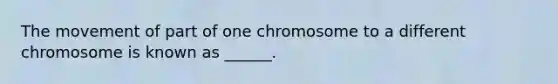 The movement of part of one chromosome to a different chromosome is known as ______.