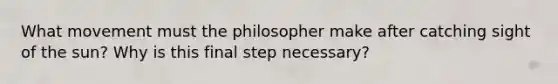 What movement must the philosopher make after catching sight of the sun? Why is this final step necessary?